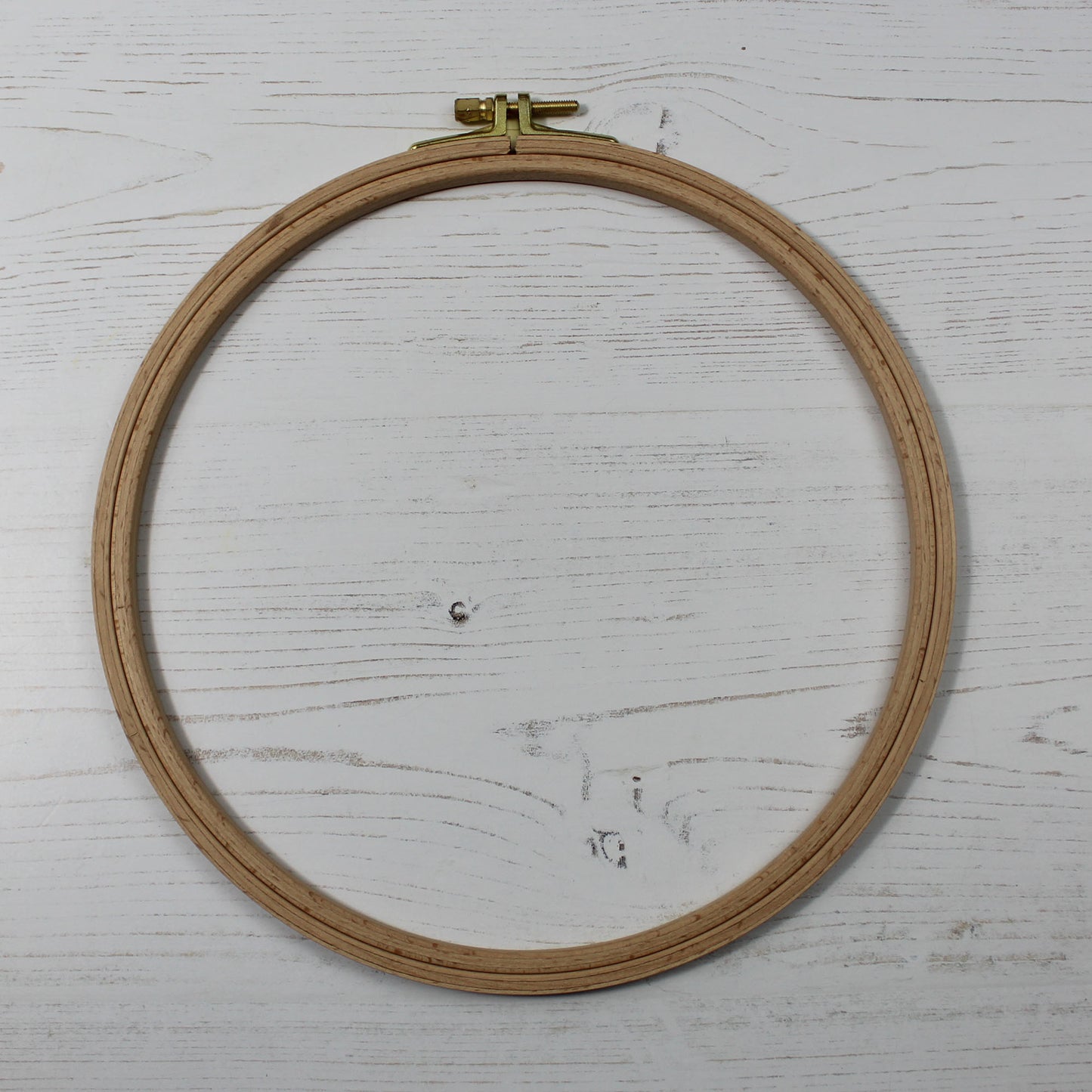 Beginner Embroidery Kit - Bugs in Bloom